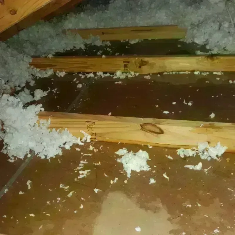 Attic Water Damage in Alexandria, IN